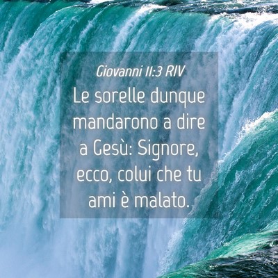 Picture 04 - Giovanni 11:3 RIV - Le sorelle dunque mandarono a dire a Gesù: - Bible Verse Picture
