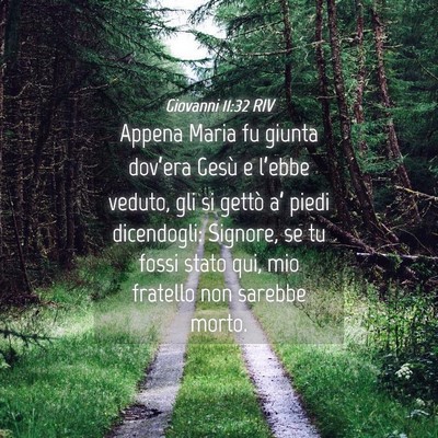 Picture 04 - Giovanni 11:32 RIV - Appena Maria fu giunta dov’era Gesù e l’ebbe - Bible Verse Picture