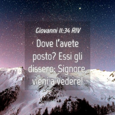 Picture 04 - Giovanni 11:34 RIV - Dove l’avete posto? Essi gli dissero: Signore, - Bible Verse Picture