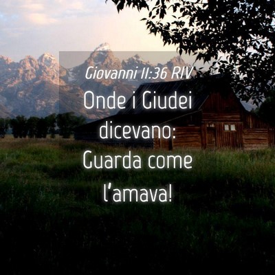 Picture 04 - Giovanni 11:36 RIV - Onde i Giudei dicevano: Guarda come - Bible Verse Picture