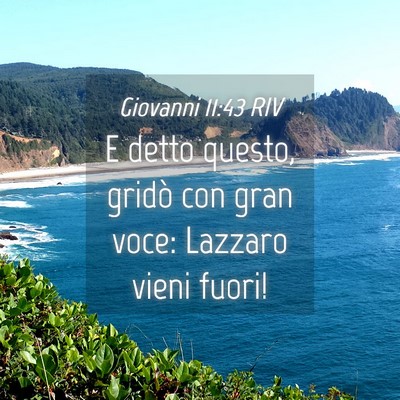 Picture 04 - Giovanni 11:43 RIV - E detto questo, gridò con gran voce: Lazzaro - Bible Verse Picture
