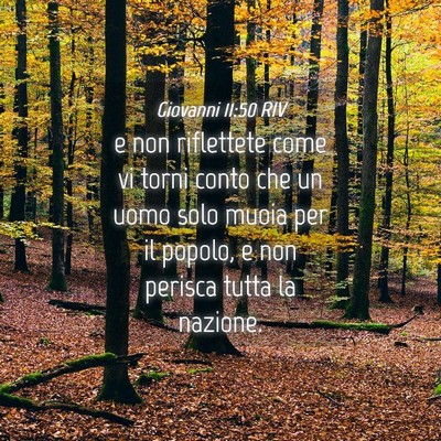 Picture 04 - Giovanni 11:50 RIV - e non riflettete come vi torni conto che un uomo - Bible Verse Picture