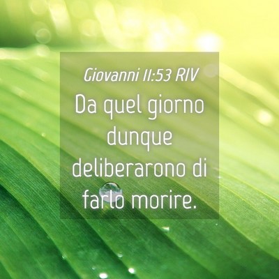 Picture 04 - Giovanni 11:53 RIV - Da quel giorno dunque deliberarono di farlo - Bible Verse Picture