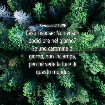 Picture 04 - Giovanni 11:9 RIV - Gesù rispose: Non vi son dodici ore nel giorno? - Bible Verse Picture