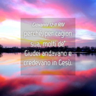Picture 04 - Giovanni 12:11 RIV - perché, per cagion sua, molti de’ Giudei - Bible Verse Picture