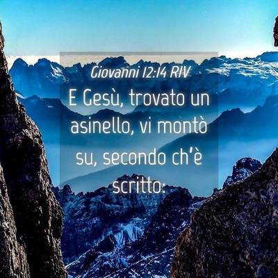Picture 04 - Giovanni 12:14 RIV - E Gesù, trovato un asinello, vi montò su, - Bible Verse Picture