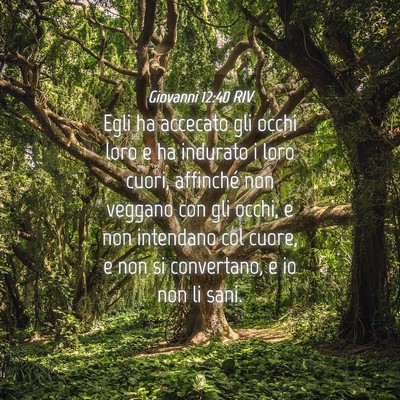Picture 04 - Giovanni 12:40 RIV - Egli ha accecato gli occhi loro e ha indurato i - Bible Verse Picture