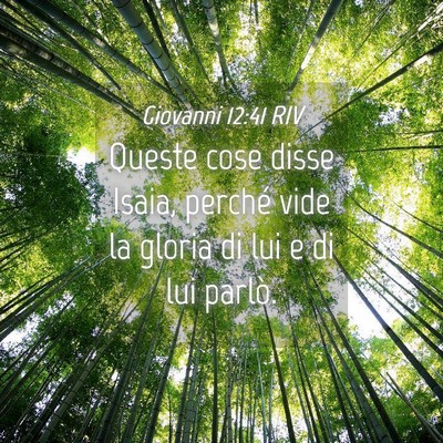 Picture 04 - Giovanni 12:41 RIV - Queste cose disse Isaia, perché vide la gloria - Bible Verse Picture