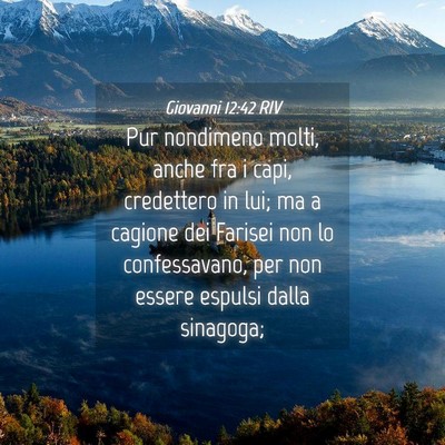 Picture 04 - Giovanni 12:42 RIV - Pur nondimeno molti, anche fra i capi, credettero - Bible Verse Picture
