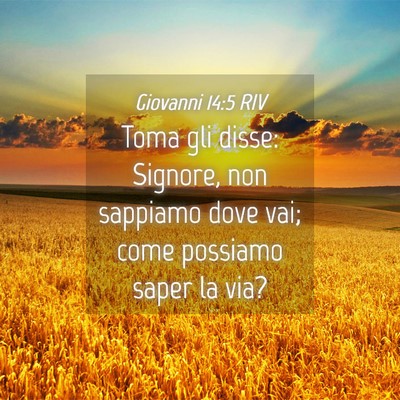 Picture 04 - Giovanni 14:5 RIV - Toma gli disse: Signore, non sappiamo dove vai; - Bible Verse Picture