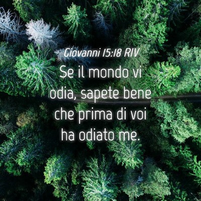 Picture 04 - Giovanni 15:18 RIV - Se il mondo vi odia, sapete bene che prima di voi - Bible Verse Picture