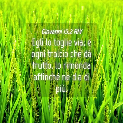 Picture 04 - Giovanni 15:2 RIV - Egli lo toglie via; e ogni tralcio che dà - Bible Verse Picture