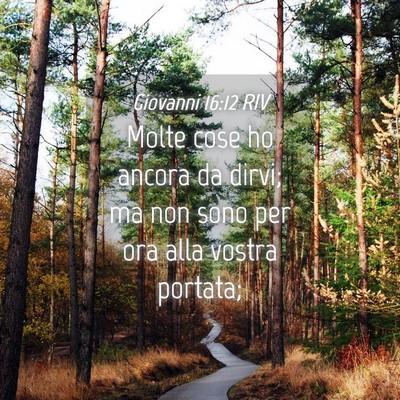 Picture 04 - Giovanni 16:12 RIV - Molte cose ho ancora da dirvi; ma non sono per - Bible Verse Picture