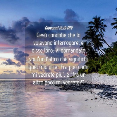 Picture 04 - Giovanni 16:19 RIV - Gesù conobbe che lo volevano interrogare, e - Bible Verse Picture