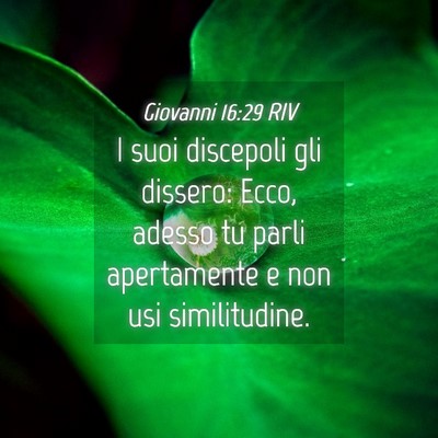 Picture 04 - Giovanni 16:29 RIV - I suoi discepoli gli dissero: Ecco, adesso tu - Bible Verse Picture