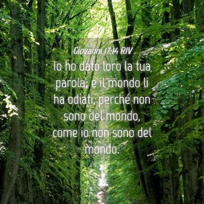Picture 04 - Giovanni 17:14 RIV - Io ho dato loro la tua parola; e il mondo li ha - Bible Verse Picture