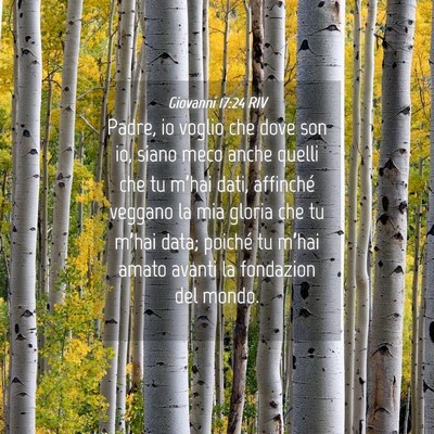 Picture 04 - Giovanni 17:24 RIV - Padre, io voglio che dove son io, siano meco - Bible Verse Picture