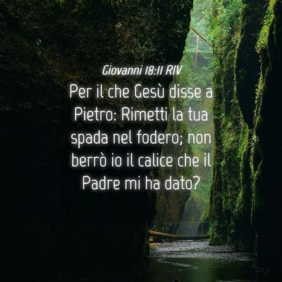 Picture 04 - Giovanni 18:11 RIV - Per il che Gesù disse a Pietro: Rimetti la tua - Bible Verse Picture