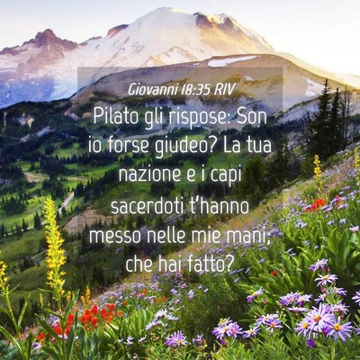 Picture 04 - Giovanni 18:35 RIV - Pilato gli rispose: Son io forse giudeo? La tua - Bible Verse Picture