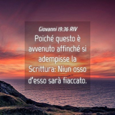 Picture 04 - Giovanni 19:36 RIV - Poiché questo è avvenuto affinché si adempisse - Bible Verse Picture