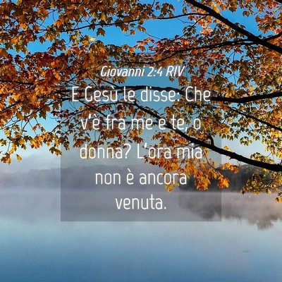 Picture 04 - Giovanni 2:4 RIV - E Gesù le disse: Che v’è fra me e te, o - Bible Verse Picture
