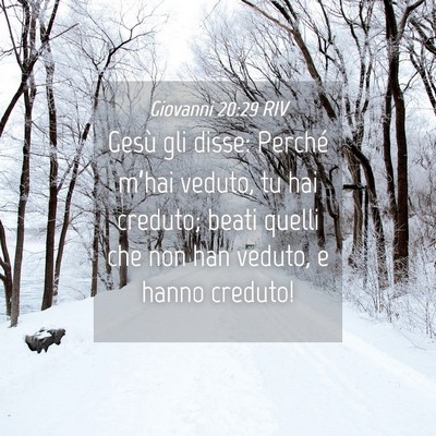 Picture 04 - Giovanni 20:29 RIV - Gesù gli disse: Perché m’hai veduto, tu hai - Bible Verse Picture
