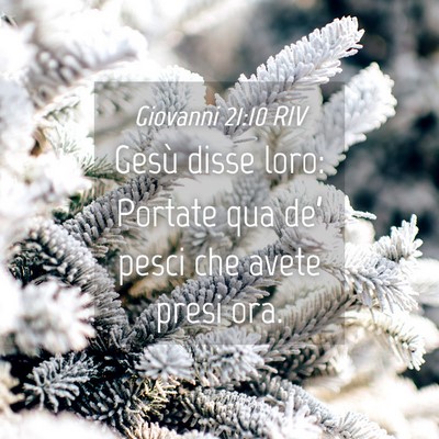 Picture 04 - Giovanni 21:10 RIV - Gesù disse loro: Portate qua de’ pesci che - Bible Verse Picture
