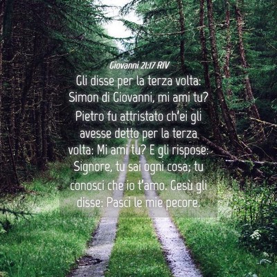 Picture 04 - Giovanni 21:17 RIV - Gli disse per la terza volta: Simon di Giovanni, - Bible Verse Picture