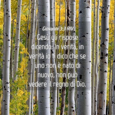Picture 04 - Giovanni 3:3 RIV - Gesù gli rispose dicendo: In verità, in verità - Bible Verse Picture