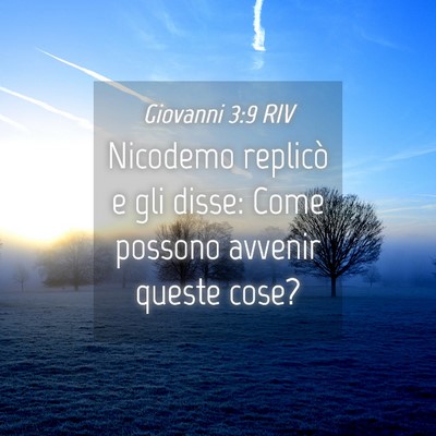 Picture 04 - Giovanni 3:9 RIV - Nicodemo replicò e gli disse: Come possono - Bible Verse Picture