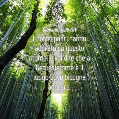 Picture 04 - Giovanni 4:20 RIV - I nostri padri hanno adorato su questo monte, e - Bible Verse Picture