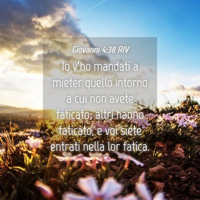 Picture 04 - Giovanni 4:38 RIV - Io v’ho mandati a mieter quello intorno a cui - Bible Verse Picture