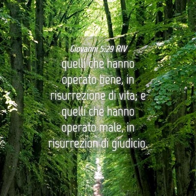 Picture 04 - Giovanni 5:29 RIV - quelli che hanno operato bene, in risurrezione di - Bible Verse Picture