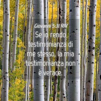 Picture 04 - Giovanni 5:31 RIV - Se io rendo testimonianza di me stesso, la mia - Bible Verse Picture