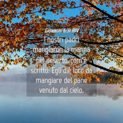Picture 04 - Giovanni 6:31 RIV - I nostri padri mangiaron la manna nel deserto, - Bible Verse Picture