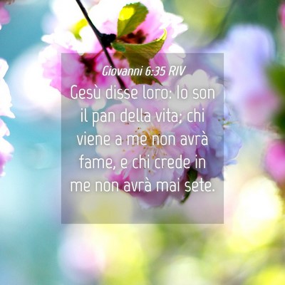 Picture 04 - Giovanni 6:35 RIV - Gesù disse loro: Io son il pan della vita; chi - Bible Verse Picture