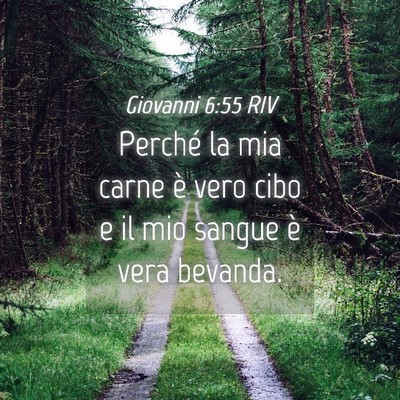 Picture 04 - Giovanni 6:55 RIV - Perché la mia carne è vero cibo e il mio sangue - Bible Verse Picture