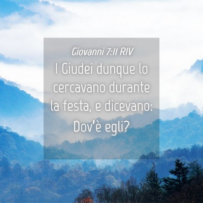 Picture 04 - Giovanni 7:11 RIV - I Giudei dunque lo cercavano durante la festa, e - Bible Verse Picture