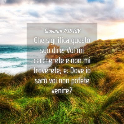 Picture 04 - Giovanni 7:36 RIV - Che significa questo suo dire: Voi mi cercherete - Bible Verse Picture