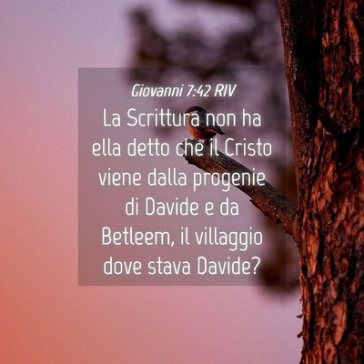 Picture 04 - Giovanni 7:42 RIV - La Scrittura non ha ella detto che il Cristo - Bible Verse Picture