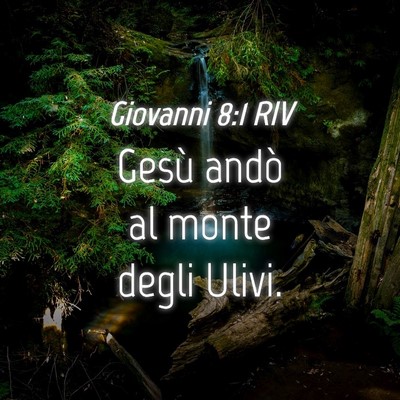 Picture 04 - Giovanni 8:1 RIV - Gesù andò al monte degli - Bible Verse Picture