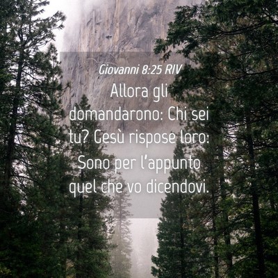 Picture 04 - Giovanni 8:25 RIV - Allora gli domandarono: Chi sei tu? Gesù rispose - Bible Verse Picture