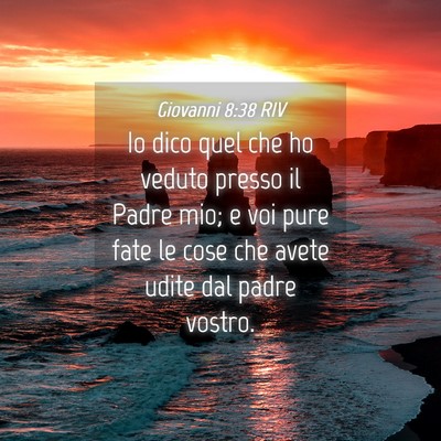 Picture 04 - Giovanni 8:38 RIV - Io dico quel che ho veduto presso il Padre mio; e - Bible Verse Picture