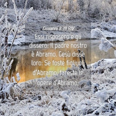 Picture 04 - Giovanni 8:39 RIV - Essi risposero e gli dissero: Il padre nostro è - Bible Verse Picture