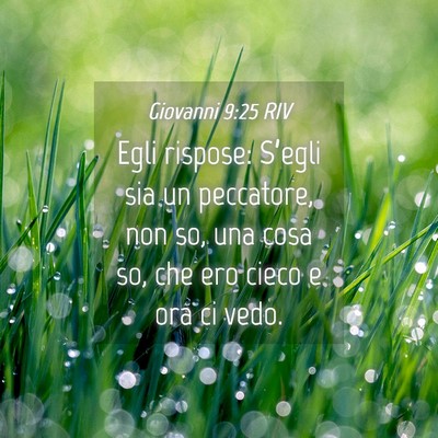 Picture 04 - Giovanni 9:25 RIV - Egli rispose: S’egli sia un peccatore, non so, - Bible Verse Picture
