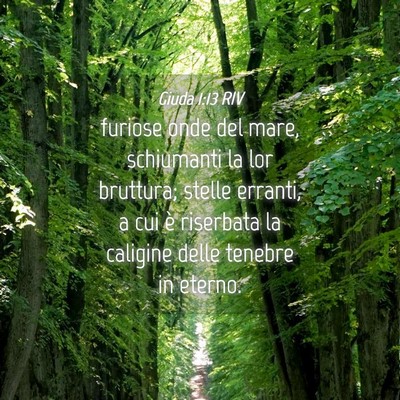 Picture 04 - Giuda 1:13 RIV - furiose onde del mare, schiumanti la lor - Bible Verse Picture