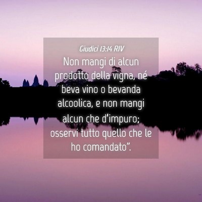Picture 04 - Giudici 13:14 RIV - Non mangi di alcun prodotto della vigna, né beva - Bible Verse Picture