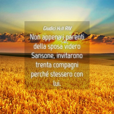 Picture 04 - Giudici 14:11 RIV - Non appena i parenti della sposa videro Sansone, - Bible Verse Picture