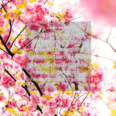 Picture 04 - Giudici 14:4 RIV - Or suo padre e sua madre non sapevano che questo - Bible Verse Picture