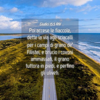 Picture 04 - Giudici 15:5 RIV - Poi accese le fiaccole, dette la via agli - Bible Verse Picture